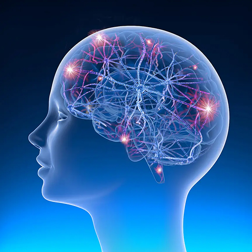Epilepsy